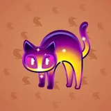 Scared Cat #10762 Scared Cat #10762