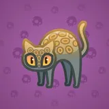 Scared Cat #10892 Scared Cat #10892