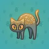 Scared Cat #10907 Scared Cat #10907