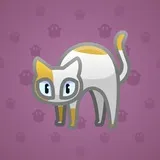 Scared Cat #1099 Scared Cat #1099