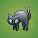 Scared Cat #11204 Scared Cat #11204