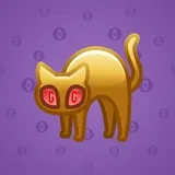 Scared Cat #11238 Scared Cat #11238