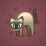 Scared Cat #1149 Scared Cat #1149
