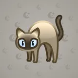 Scared Cat #11522 Scared Cat #11522