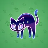 Scared Cat #11537 Scared Cat #11537