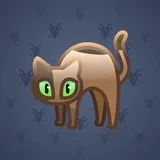 Scared Cat #11543 Scared Cat #11543