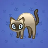 Scared Cat #11625