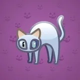 Scared Cat #11688 Scared Cat #11688