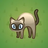 Scared Cat #11746 Scared Cat #11746