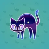 Scared Cat #11816 Scared Cat #11816