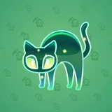 Scared Cat #11886 Scared Cat #11886