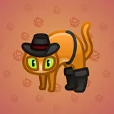 Scared Cat #12115 Scared Cat #12115
