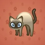 Scared Cat #1217 Scared Cat #1217