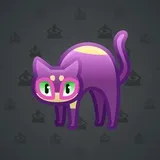 Scared Cat #12345