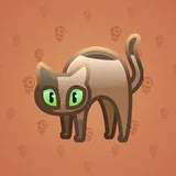 Scared Cat #12385 Scared Cat #12385