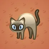 Scared Cat #127 Scared Cat #127
