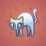 Scared Cat #12825 Scared Cat #12825