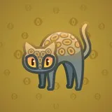 Scared Cat #12836 Scared Cat #12836