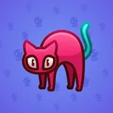 Scared Cat #12873