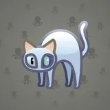 Scared Cat #12916