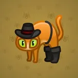 Scared Cat #12969 Scared Cat #12969