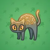 Scared Cat #12982 Scared Cat #12982