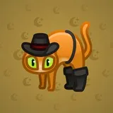 Scared Cat #12995 Scared Cat #12995