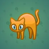 Scared Cat #12997 Scared Cat #12997