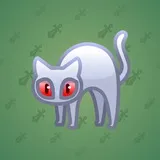 Scared Cat #13269 Scared Cat #13269