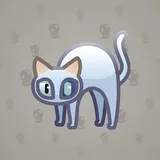 Scared Cat #13330 Scared Cat #13330