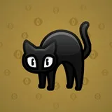 Scared Cat #13389 Scared Cat #13389