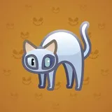 Scared Cat #13460 Scared Cat #13460