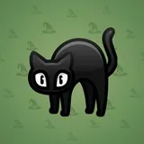 Scared Cat #13465 Scared Cat #13465