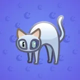 Scared Cat #13488 Scared Cat #13488