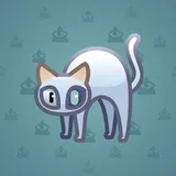 Scared Cat #13519 Scared Cat #13519