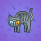 Scared Cat #13534 Scared Cat #13534