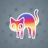 Scared Cat #13536 Scared Cat #13536