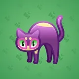 Scared Cat #13552 Scared Cat #13552
