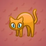 Scared Cat #13557 Scared Cat #13557