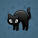 Scared Cat #13616 Scared Cat #13616