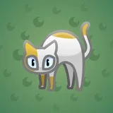 Scared Cat #13638 Scared Cat #13638