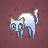 Scared Cat #13689 Scared Cat #13689