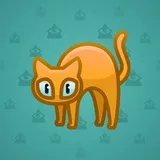 Scared Cat #13701 Scared Cat #13701