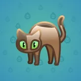 Scared Cat #13749 Scared Cat #13749