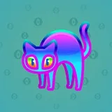 Scared Cat #13776 Scared Cat #13776