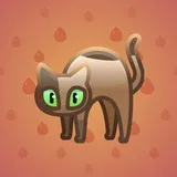 Scared Cat #13782 Scared Cat #13782