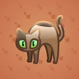 Scared Cat #13798 Scared Cat #13798