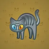 Scared Cat #13816 Scared Cat #13816