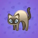 Scared Cat #13864 Scared Cat #13864