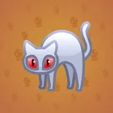 Scared Cat #13876 Scared Cat #13876